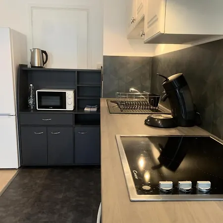 Apartmán Le Chateau Durieux 1 - Tres Cosy Et Chaleureux 2 Pieces Mae-7941 Aix-les-Bains